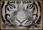 Tiger Canvas Art Painting - Aberdeen